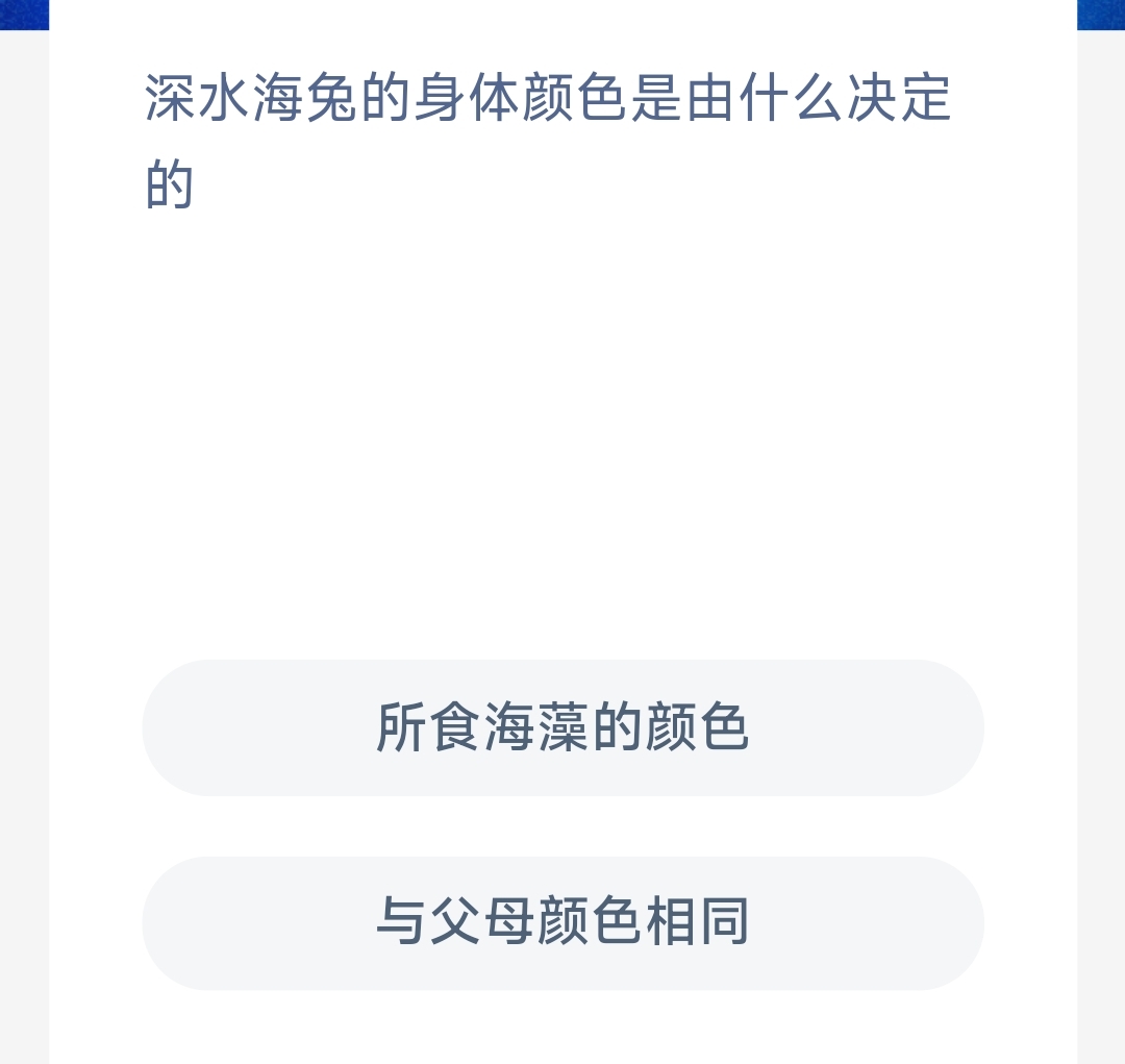 深水海兔的身体颜色是由什么决定的